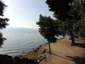 Il risultato (1)
