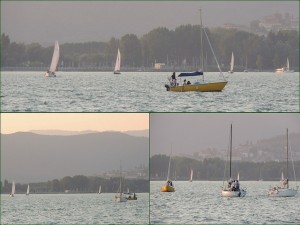 Le barche a vela dirigendosi verso l'Isola Maggiore.