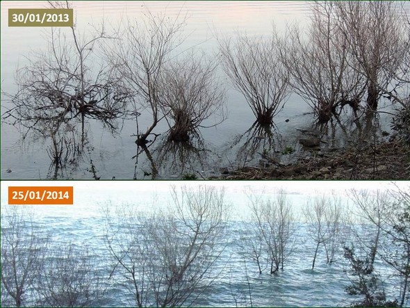 Les photos sont suffisamment explicites. En 2014, on distingue paratiquement plus les troncs, ni la "plage" de pierres.