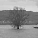 Cliquez sur la vignette pour obtenir un agrandissement.