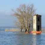 Cliquez sur la vignette pour obtenir un agrandissement.