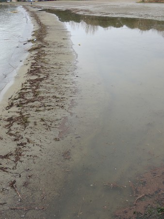 La longue nappe d'eau apparue sur la plage de Tuoro-Navaccia.