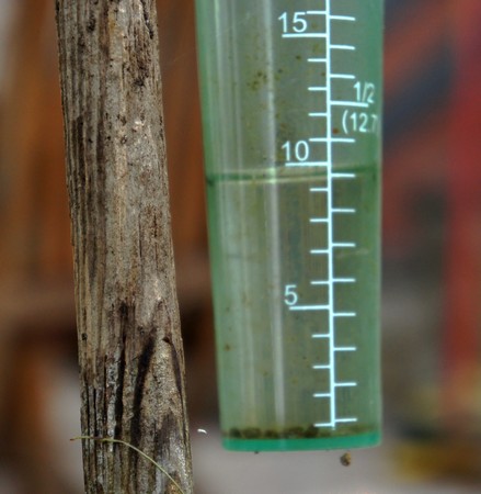 En fin d'après-midi, le vendredi 21 mars 2014, notre pluviomètre enregistra un nouvel apport d'un centimètre de pluie au mètre carré.