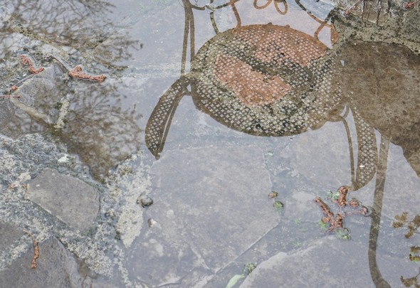 Après une courte averse, reflet dans une flaque d''une petite chaise de notre jardin    -   4/04/2014.