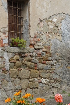 La vétusté des murs de nombreuses maisons est franchement flagrante et... parfois leur est consternant !