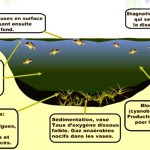 Cliquez sur cette vignette pour obtenir un agrandissement.