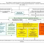 Cliquez sur cette vignette pour obtenir un agrandissement.