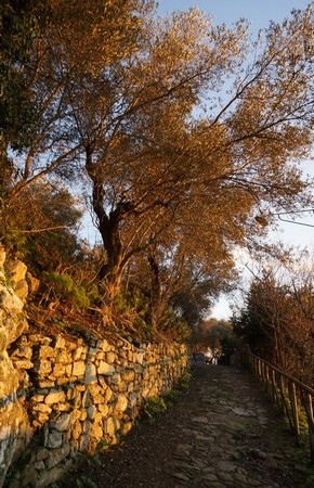 La via Tre Martiri un peu plus haut que notre maison.