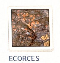 23 ECORCES