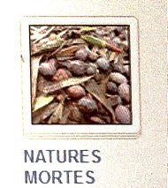 25 NATURES MORTES