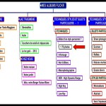 Cliquez sur la vignette pour obtenir l'agrandissement maximal.