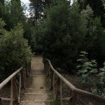 Cliquez sur la vignette pour obtenir l’agrandissement maximal.
