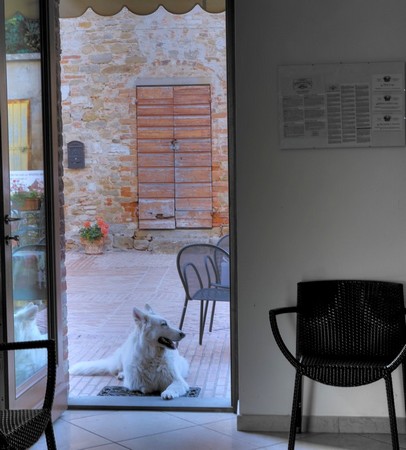 Une petite halte au café de Silvia pour le traditionnel café matinal.Bien éduquée, ma chienne "Aïka" attend sagement sur le seuil.17/07/2016   -   07:58