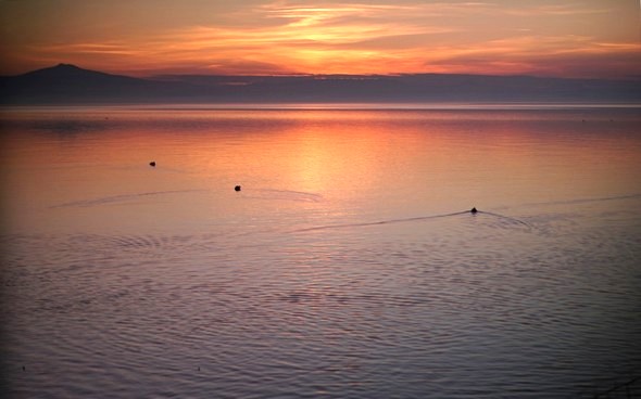 Depuis mon bureau, vue du coucher de soleil sur le lac Trasimène.mardi 6 décembre 2016   -   17:35