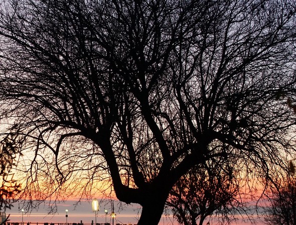 Depuis la via Guglielmi, un des rares entraperçus du lac Trasimène et son coucher de soleil.