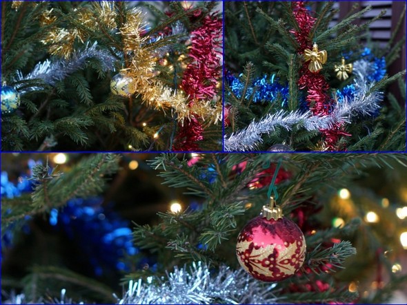 Colori, incanto e  gioia delle feste di fine anno. Albero di Natale installato da Cristiano nella via Guglielmi..