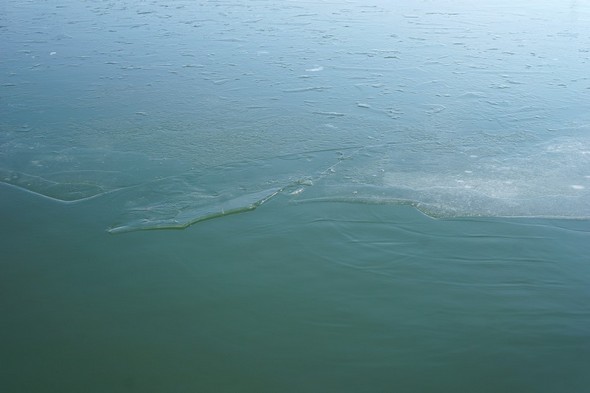 8Vue rapprochée sur cette plaque unique de glace en voie de formation entre les deux pontons.
