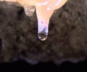 Cliquez sur la photo pour voir le mécanisme de formation d'une stalactite (12 secondes)