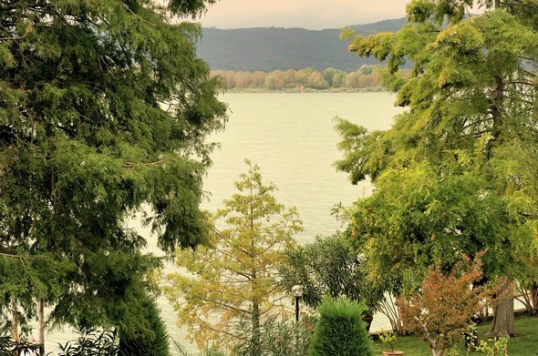 Un regard vers Tuoro-sul-Trasimeno.Depuis mon balcon et par-dessus les arbres de notre jardin et du voisin.Lac vert et ciels gris annonciateurs...