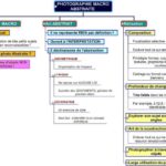 Cliquez sur la vignette pour obtenir l’agrandissement maximal.