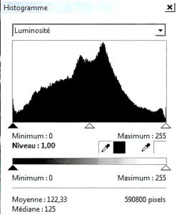 Histogramme de la photo ci-dessus.