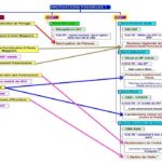 Cliquez sur la vignette pour obtenir l’agrandissement maximal.