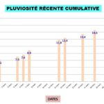 Cliquez sur la vignette pour obtenir l’agrandissement maximal.